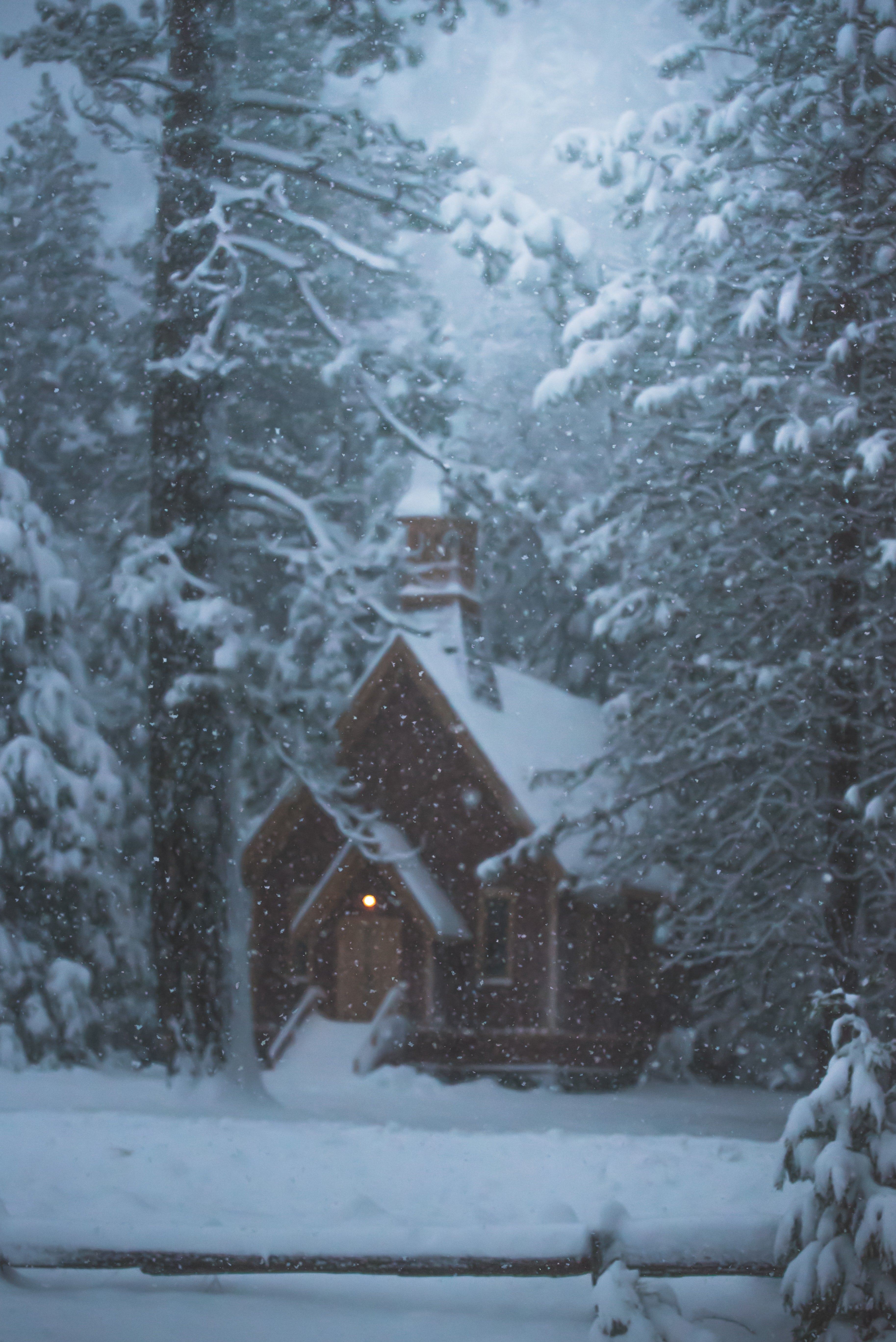 Winter