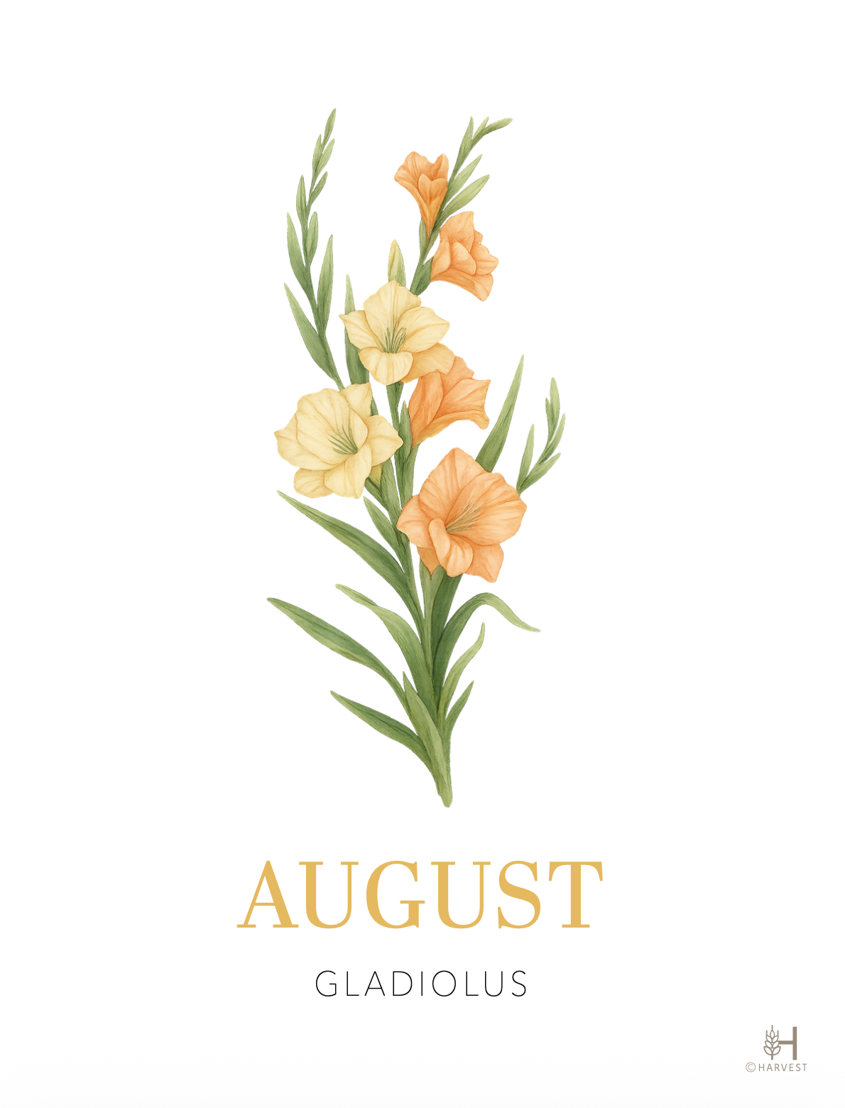 Birthday Gems & Flowers