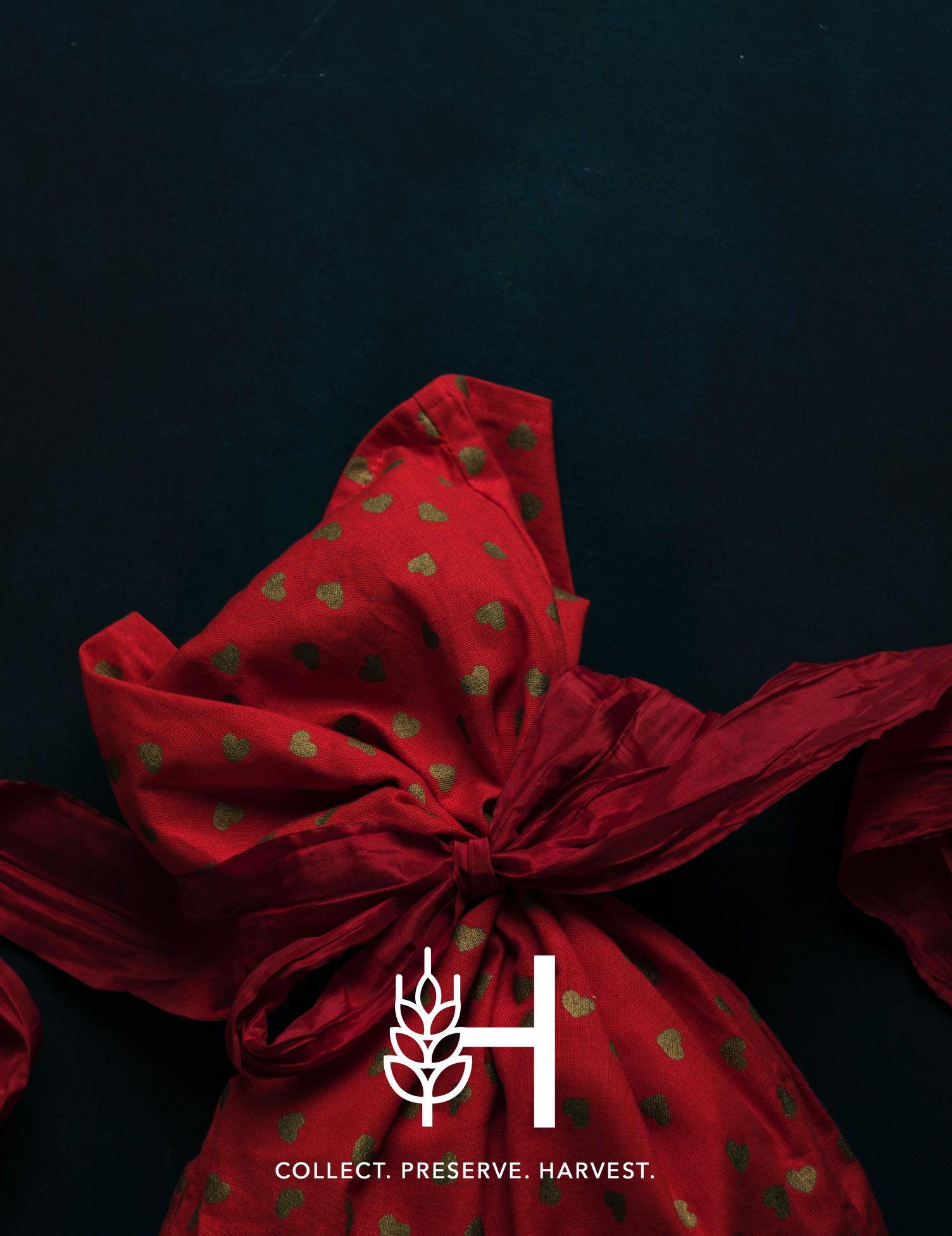 Gift a Day