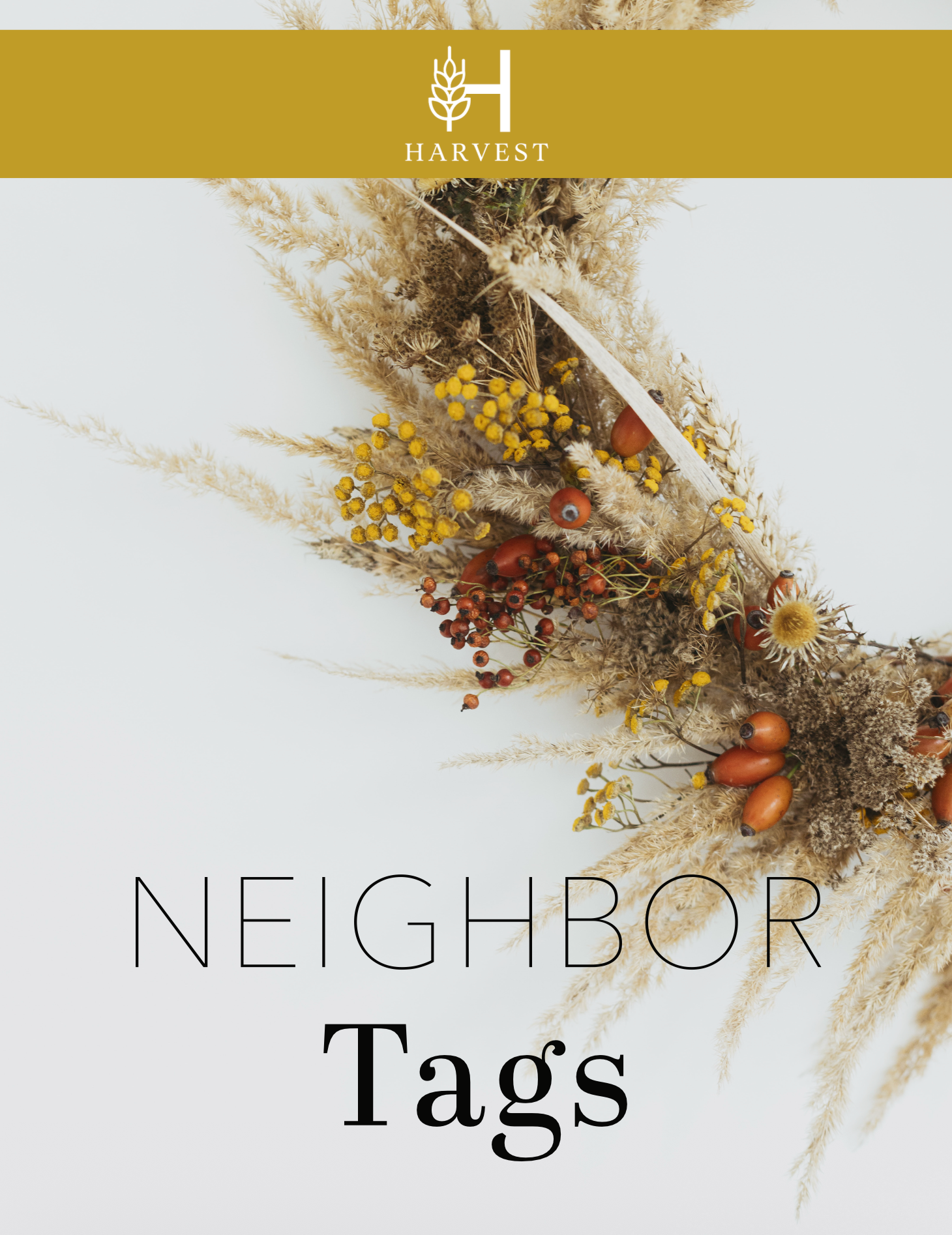 Neighbor Tags Collection