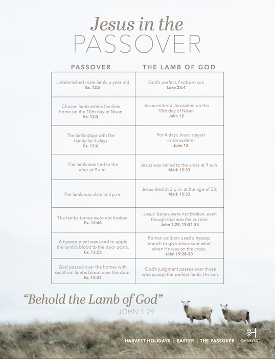 Easter Week Edition